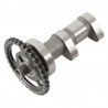 Arbre à cames échappement HOT CAMS - Niveau 1 Suzuki LT-R450 1