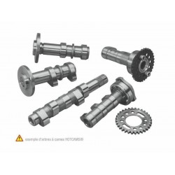 Arbre à cames HOT CAMS Niveau 2 Yamaha YZ450F