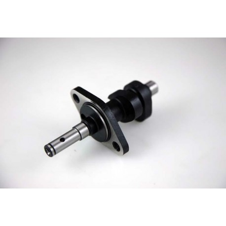 Arbre à cames HOT CAMS - Niveau 1 KTM 520