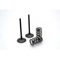Kit conversion de soupapes d'échappement PROX acier GAS GAS EC 450 F YAMAHA WR 450 F YFZ 450
