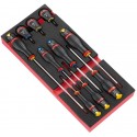Module FACOM 10 tournevis cruciformes Protwist®