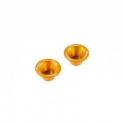 Insert ergal pour protection axe de roue LIGHTECH or