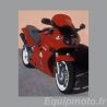 bulle haute protection ERMAX HONDA VFR 750 1994-1997 0
