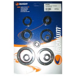 Jeu de joints spi moteur TECNIUM