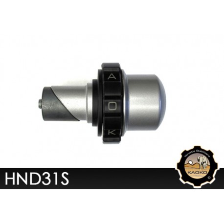 Régulateur de vitesse KAOKO Cruise Control pour moto HONDA VFR800 CBR1100XX GL 1800 BAGGER F6B