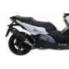 Silencieux MALOSSI Wild Lion - Metal Magic Carbon Aprilia SRV 850 0