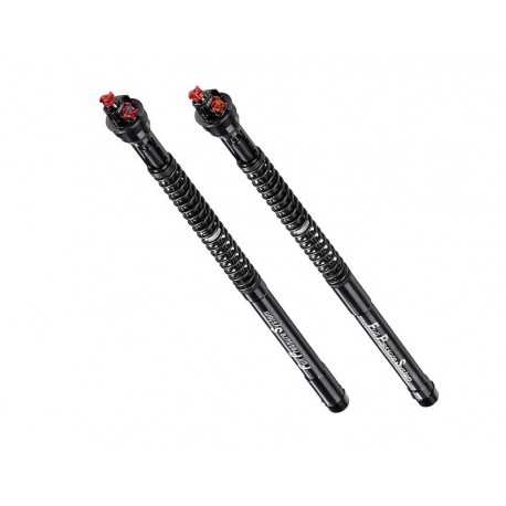 Cartouches de fourche BITUBO pour GSXR1000 SUZUKI 09-10