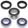 Kit roulements de roue arrière ALL BALLS Honda CBR600F4 1