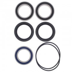 Kit roulements de roue avant/arrière ALL BALLS Kawasaki KFX450