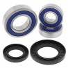 Kit roulements de roue arrière ALL BALLS Suzuki DL650/1000 V-Strom 1