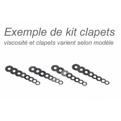 CLAPETS BITUBO POUR FOURCHE DE 1098 848 1098, 848 07-09