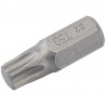 Embout de rechange DRAPER Torx 50mm  longueur 30mm 1