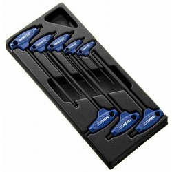 Module d'outils EXPERT 8 clés males 6 pans en T  plateau plastique