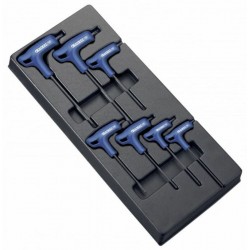 Module d'outils EXPERT 7 clés males Torx en T  plateau plastique