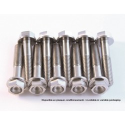Kit vis titane SCAR M8x40 pour té de fourche supérieur moto / étrier frein av
