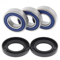 Kit roulements de roue arrière ALL BALLS Yamaha TTR250
