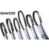 Courroie de transmission DAYCO standard 1