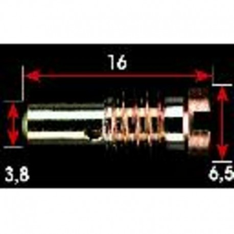 GICLEUR MIKUNI MKR45