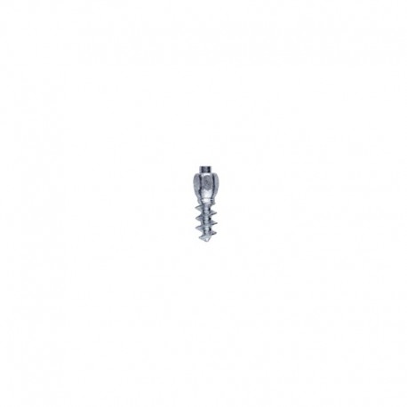 Crampons vissables IGRIP 11mm 150pcs