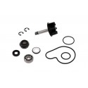 Kit réparation de pompe à eau TOP PERFORMANCES   Suzuki BURGMAN