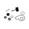 Kit réparation de pompe à eau TOP PERFORMANCES   Suzuki BURGMAN 0