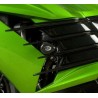 Tampons de protection R&G Racing ZZR1400 2012-2015 1
