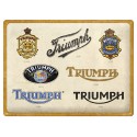 Plaque métal decorative TRIUMPH evolution