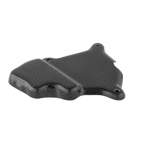 Protection couvre carter d'allumage en carbone LIGHTECH pour moto BMW S1000R S1000RR Protection couvre carter d'allumage en carbone LIGHTECH pour moto BMW S1000R S1000RR