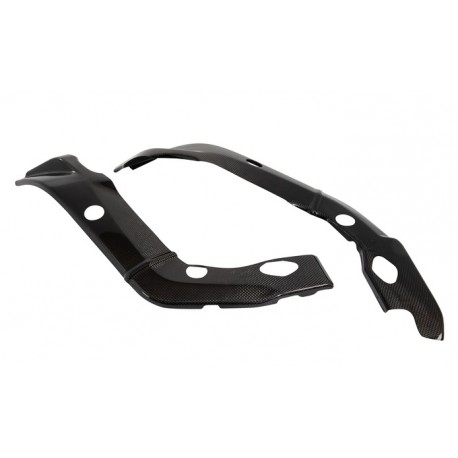 Protection de cadre LIGHTECH carbone brillant BMW S1000R 2013-2016 S1000RR 2009-2014