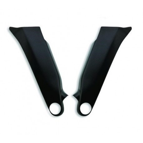 Protection de cadre LIGHTECH carbone DUCATI STREETFIGHTER V4 2020-2021