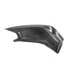 Couvre bras oscillant LIGHTECH carbone BMW S1000R 2013-2016 S1000RR 2009-2014