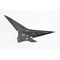 Carter de réservoir latéral LIGHTECH carbone brillant APRILIA RSV4 TUONO V4