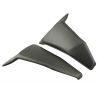 Protection de radiateur latéral LIGHTECH carbone DUCATI 950 HYPERMOTARD 2019-2021 0