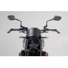 Protège-leviers frein et embrayage SW MOTECH TRIUMPH 660 TRIDENT 2021-2022 1