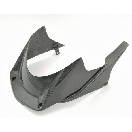 Garde-boue arrière LIGHTECH carbone brillant HONDA CBR 1000 RR-R 2020-2022