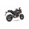 Ligne d'Echappement SCORPION RED POWER Honda MSX 125 2021-2022 5