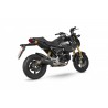 Echappement SCORPION RED POWER Honda MSX 125 2021-2022 0