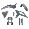 Kit plastique RACETECH BETA RX 1