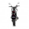 Ligne d'Echappement LEOVINCE LV-10 HONDA MSX 125 2022 10