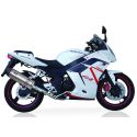 Echappement IXIL DAELIM 125 ROADWIN ROADSPORT R 2007-2015 250 ROADWIN 250R 2012-2015