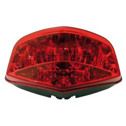 Feux arrière leds avec clignotants intégrés LEDS DUCATI 696 MONSTER 796 MONSTER 1100 MONSTER