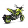 Echappement LEOVINCE LV-10 BENELLI TORNADO NAKED T125 / TNT 135 8