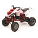 Miniature YAMAHA 660 RAPTOR echelle 1/12