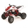 Miniature YAMAHA 660 RAPTOR echelle 1/12 0
