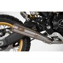 Echappement Zard Zuma Ducati 800 SCRAMBLER Desert Sled 2021
