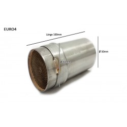 Catalyseur echappement MIVV ACC.041.A1