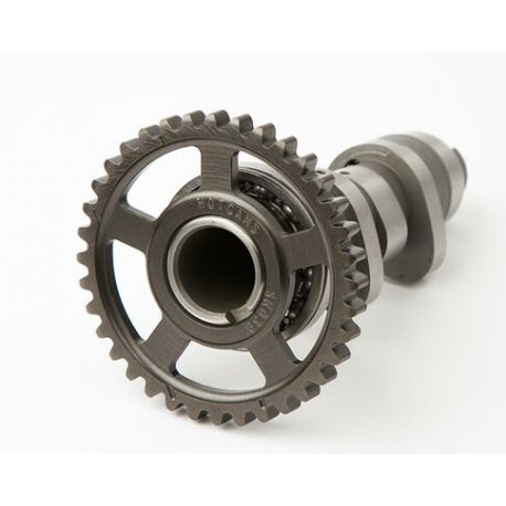 Arbre à cames HOT CAMS Niveau 1 HONDA CRF 250 R