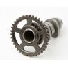 Arbre à cames HOT CAMS Niveau 1 HONDA CRF 250 R 0