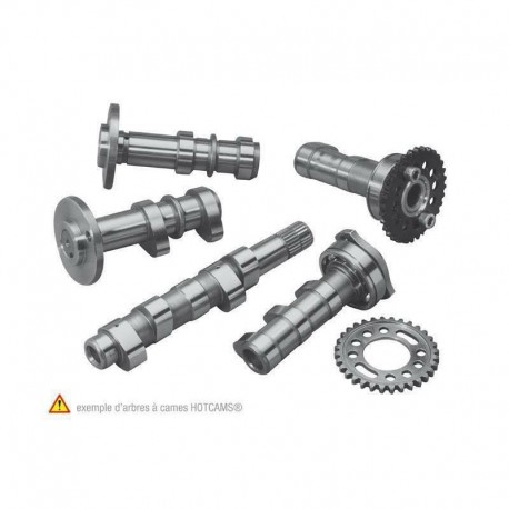 Arbre à cames échappement et admission HOT CAMS Niveau 1 KTM SX-F 250