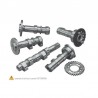 Arbre à cames échappement et admission HOT CAMS Niveau 1 KTM SX-F 250 0